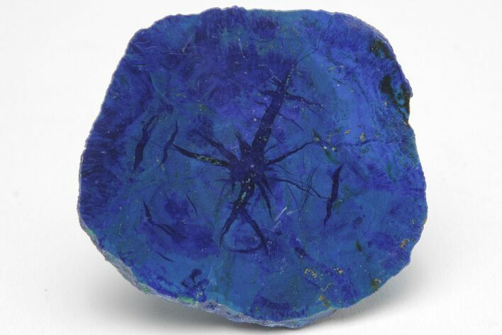 Vivid Blue, Cut/Polished Azurite Nodule - Siberia #207882